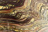 Polished Tiger Iron Stromatolite Slab - Billion Years #351867-1